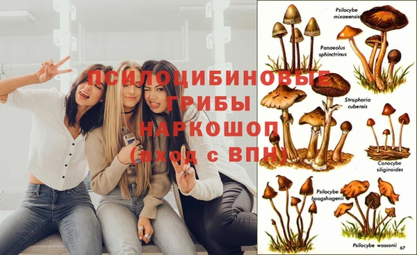 каннабис Верхний Тагил