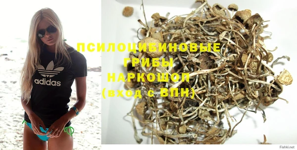 дурь Верея