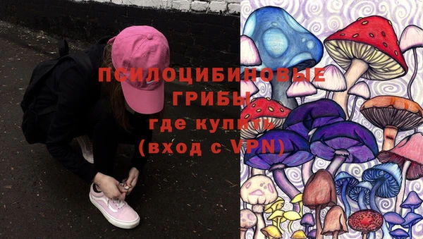дурь Верея