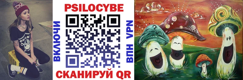Псилоцибиновые грибы Cubensis darknet Telegram Можайск даркнет сайт