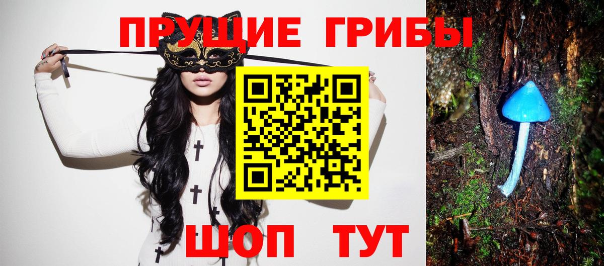 Псилоцибиновые грибы GOLDEN TEACHER  Галлюциногенные грибы Psilocybe  Можайск  Вход с VPN 